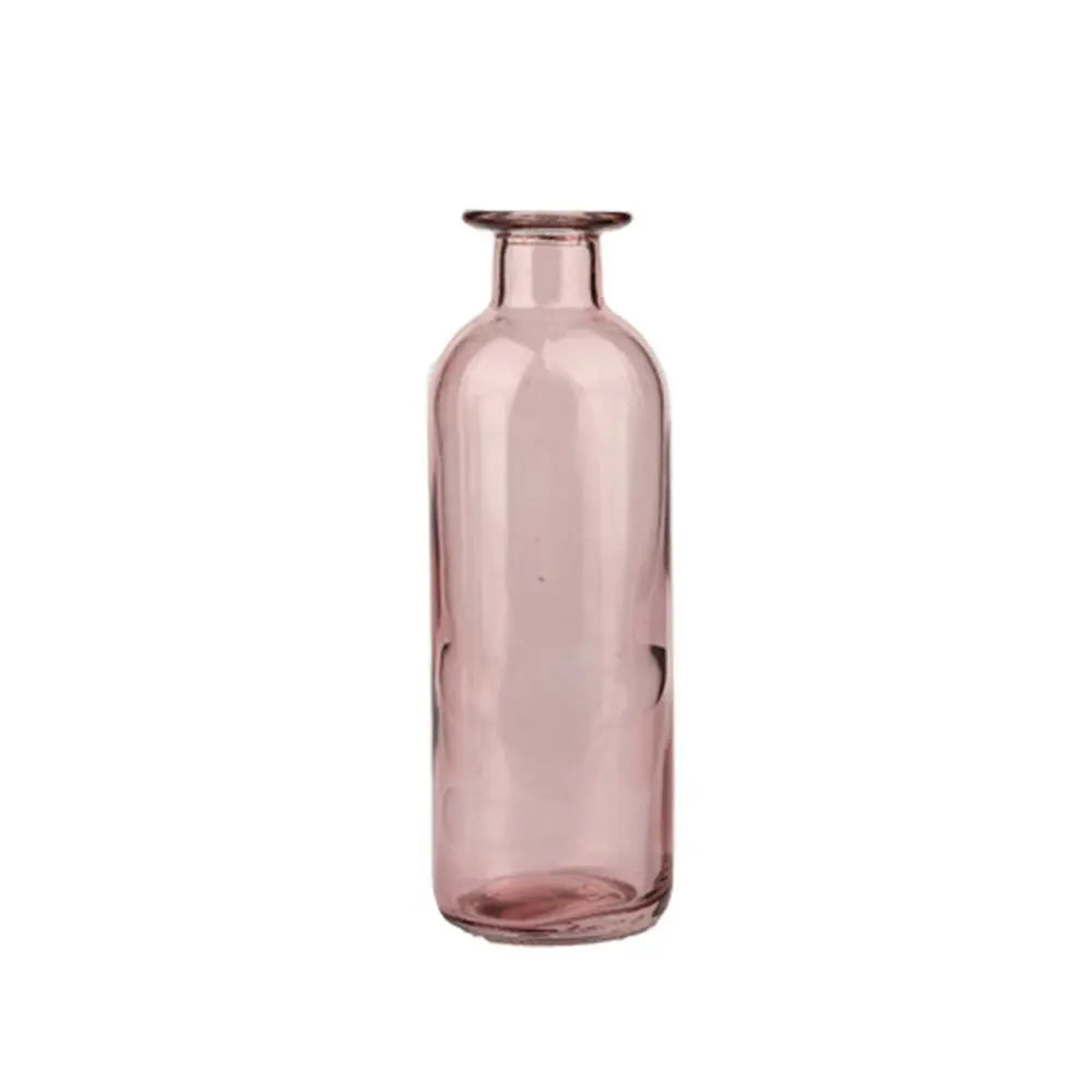 Plante hydroponique transparente, décoration florale pour salon, bouteille en verre, vase en verre, décoration de table, décoration d'intérieur