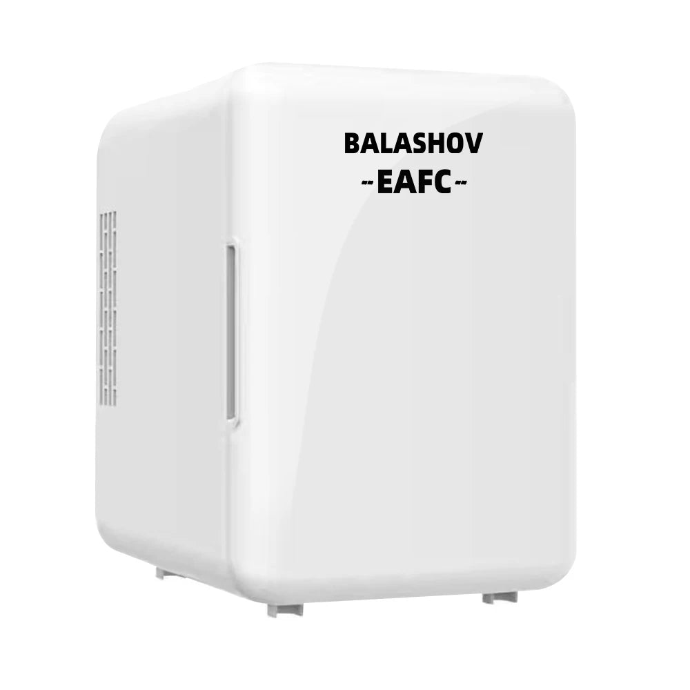 Mini-réfrigérateur 4L 12V 110V 220V Portable Électrique Glacière Tourisme Camping pour Voiture Cosmétiques Maquillage Soins de la Peau Réfrigérateur de Chambre