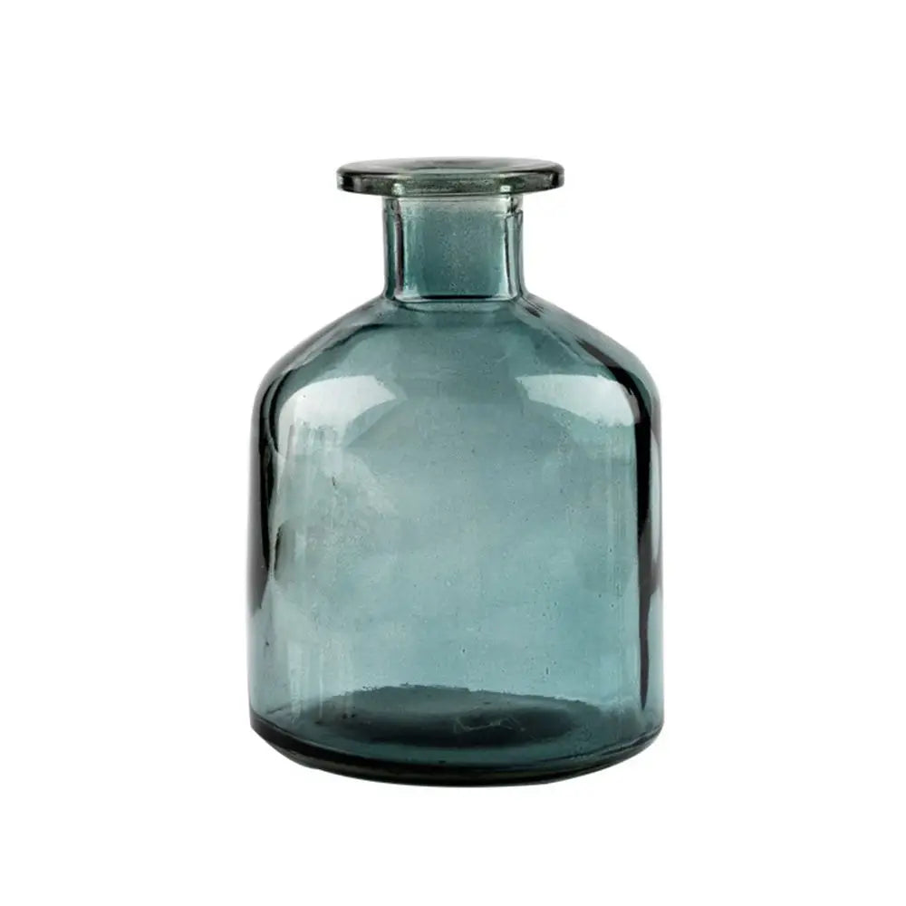 Plante hydroponique transparente, décoration florale pour salon, bouteille en verre, vase en verre, décoration de table, décoration d'intérieur